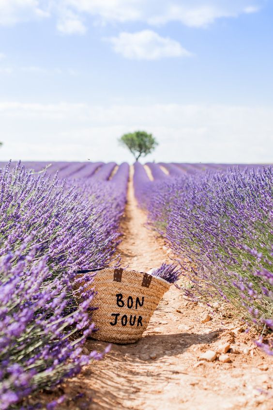 Provence, “tấm bưu thiếp” tuyệt đẹp của miền Nam nước Pháp - Ảnh 1