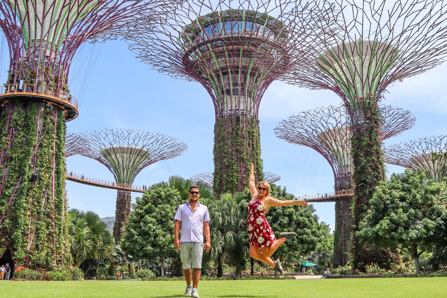 7 trải nghiệm nhất định phải làm với ai lần đầu du lịch Singapore  - Ảnh 6