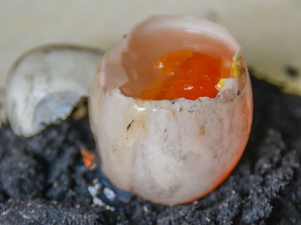 6 món trứng vừa phổ biến vừa ngon ứa nước miếng của châu Á - Ảnh 1