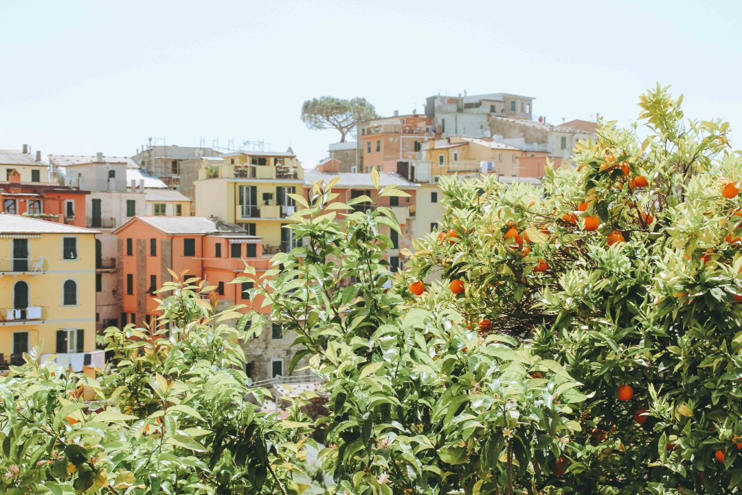 Khám phá Cinque Terre, thị trấn nhỏ xinh khiến trái tim ai cũng phải rung động - Ảnh 7