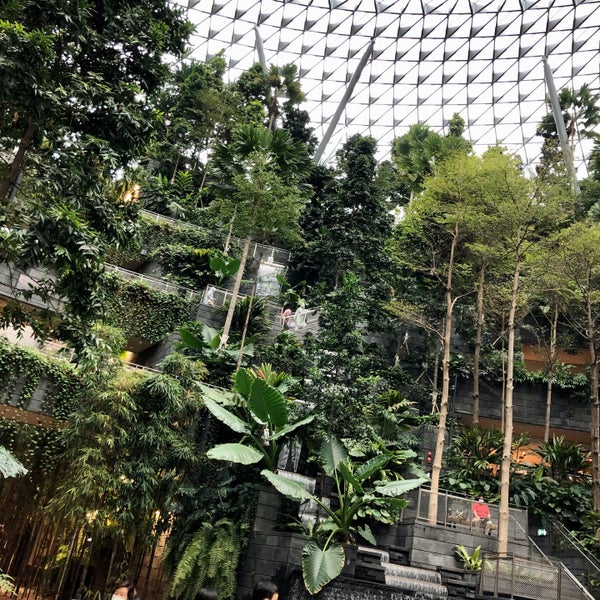 8 trải nghiệm khiến bạn quên đi việc chờ đợi ở sân bay Changi, Singapore - Ảnh 7