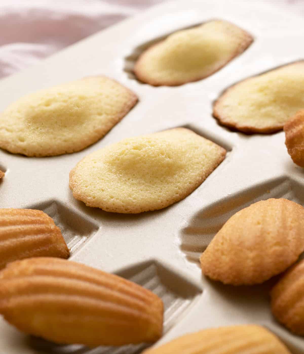 Cách làm bánh Madeleine chuẩn công thức Pháp truyền thống - Ảnh 5
