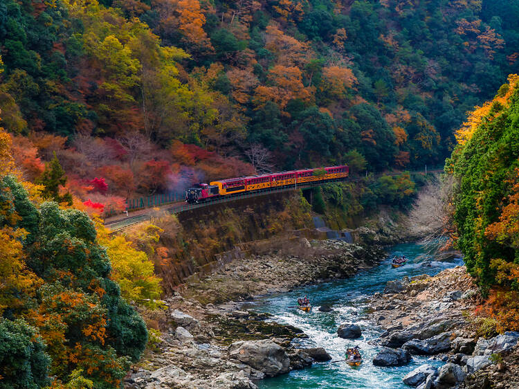 Đường sắt Sagano Scenic ở Kyoto, Nhật Bản