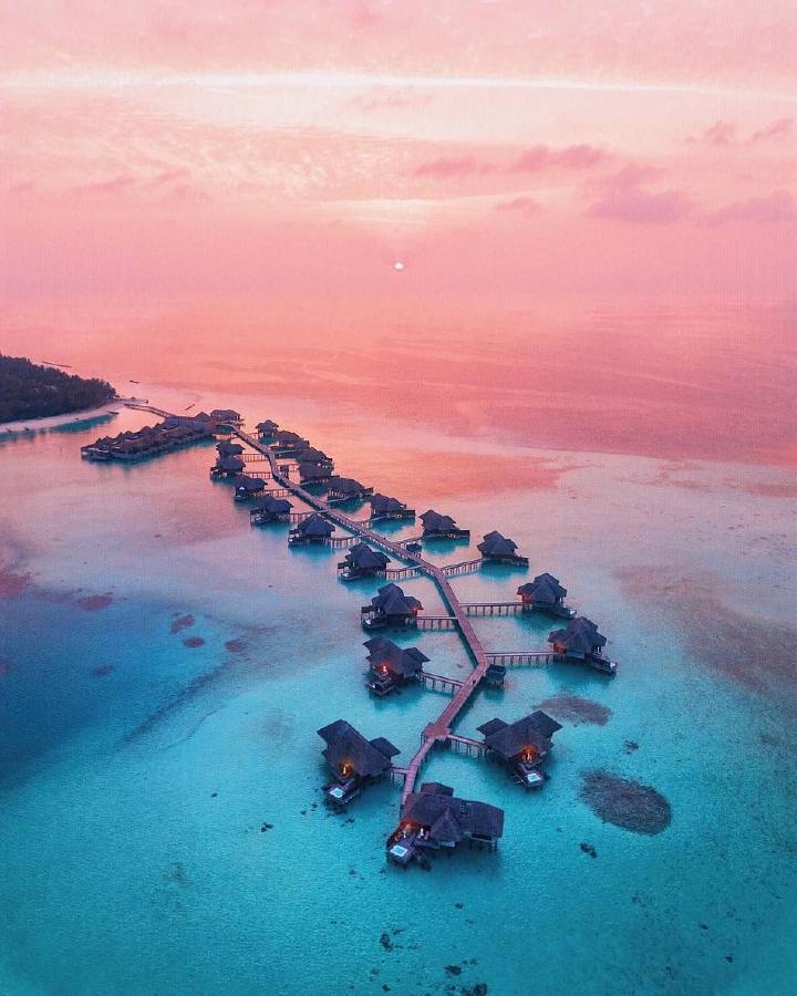 7 điều thú vị về Maldives, quốc gia nhỏ nhất châu Á - Ảnh 4