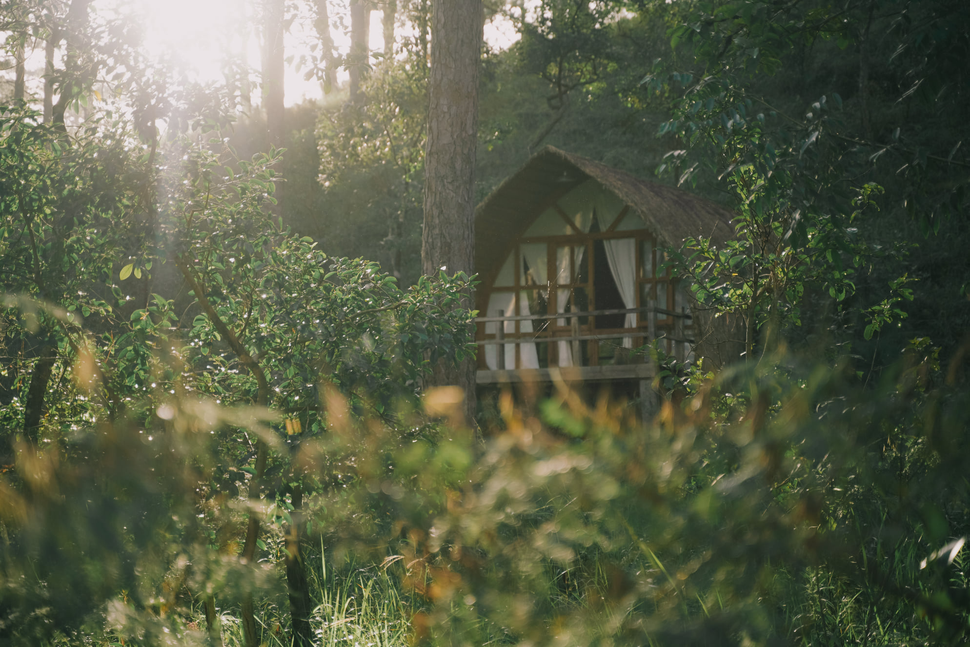 Andante Nature Retreat, homestay muốn thuê phải vượt qua “vòng phỏng vấn” ở Đà Lạt