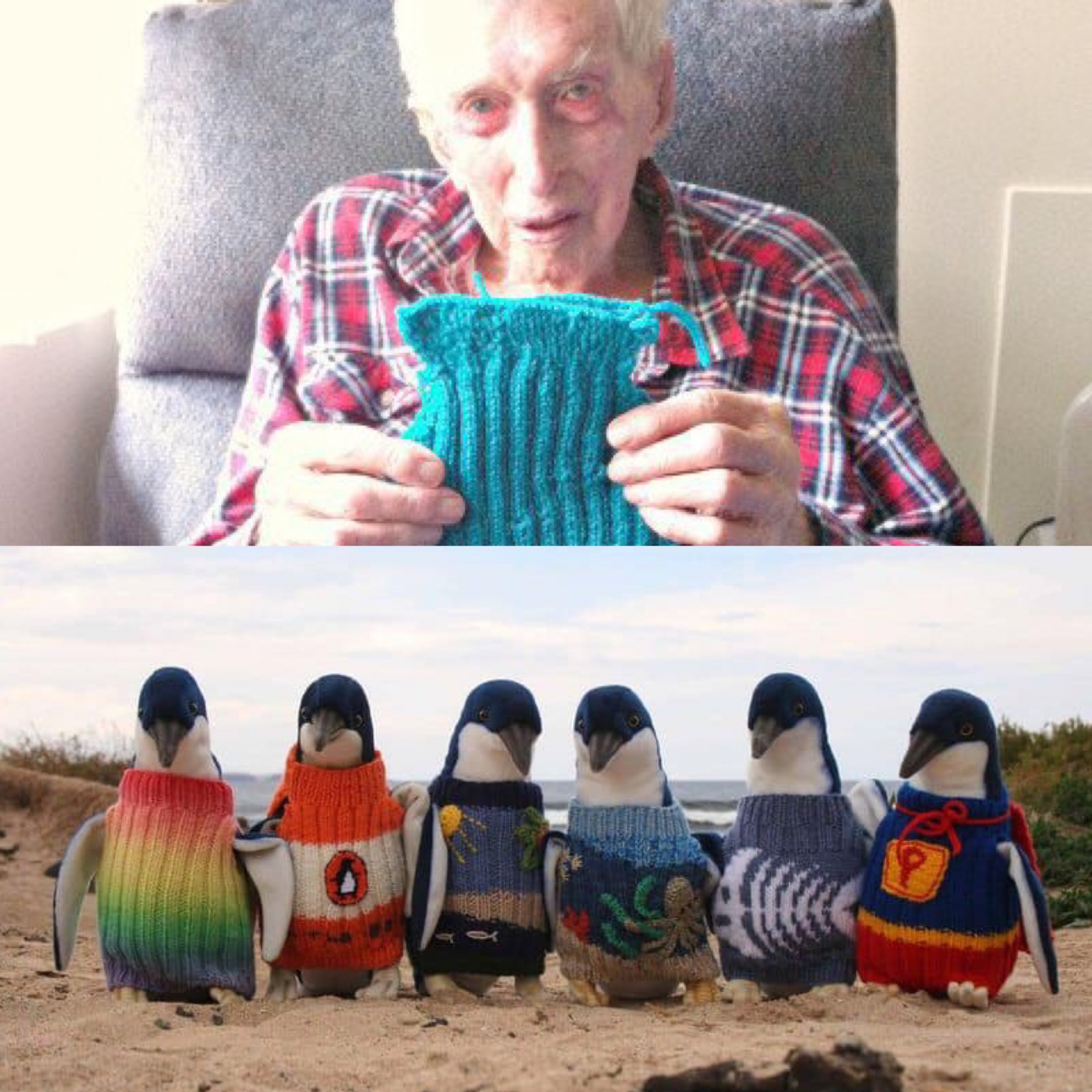 Ở tuổi 109, cụ ông Alfred Date vẫn dùng kĩ năng đan len điêu luyện của mình để đóng góp cho những hoạt động vô cùng ý nghĩa.