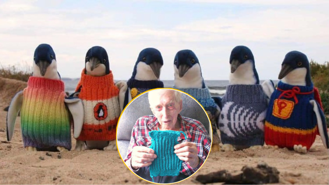 Cụ ông 109 tuổi vẫn dành thời gian hàng ngày để đan áo len cho những chú chim cánh cụt