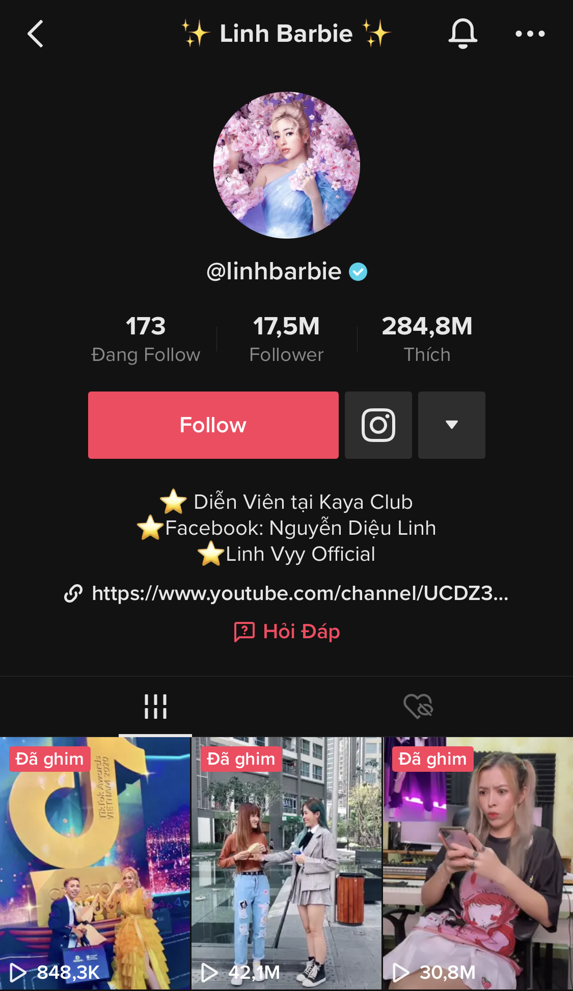 Linh Barbie hiện đang sở hữu kênh Tiktok với 17,5 triệu lượt theo dõi. Các video của cô nàng đã thu về gần 285 triệu lượt thích trên Tiktok.