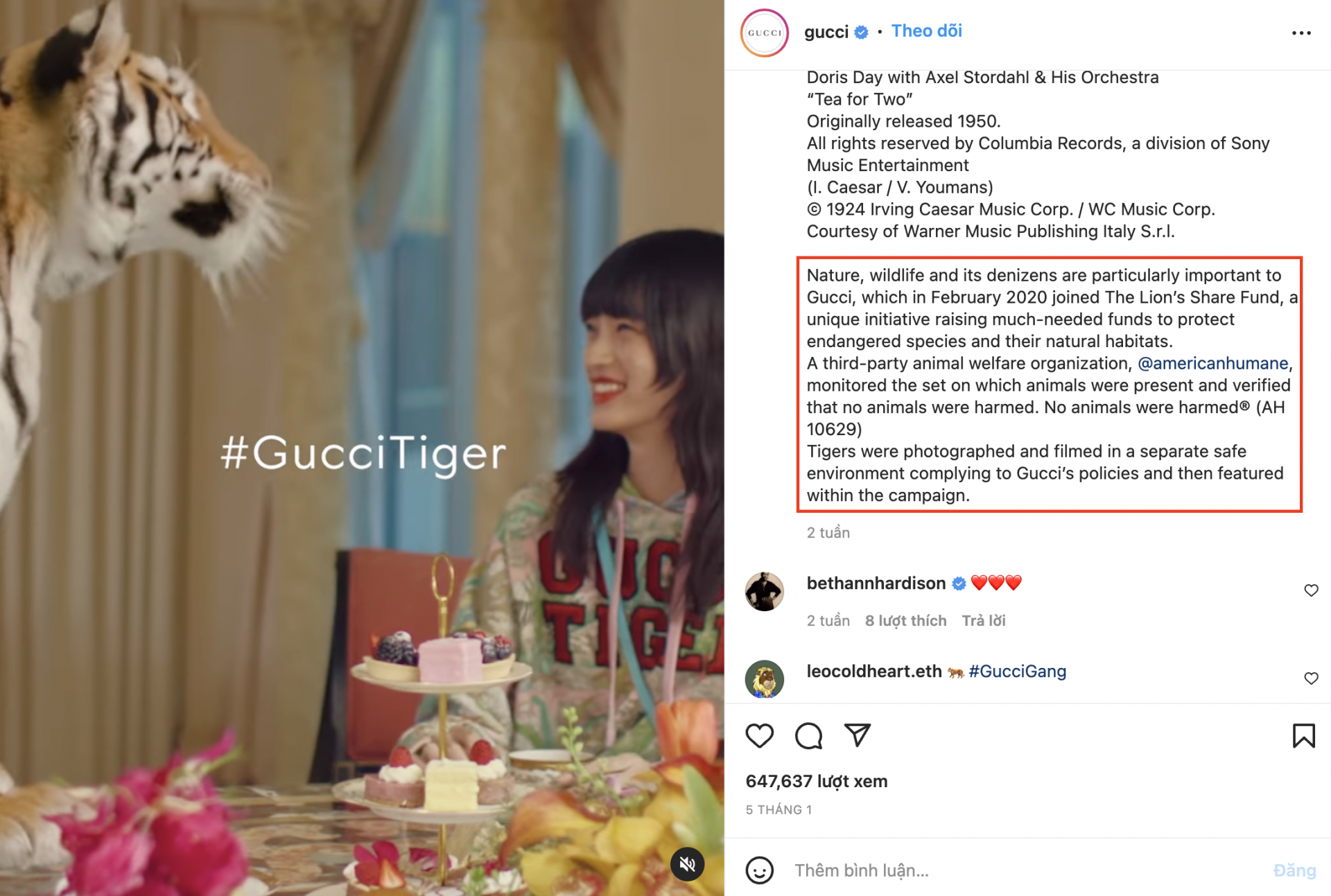 Mặc dù Gucci đã chú thích rằng những chú hổ này được giám sát trong môi trường an toàn nhưng vẫn bị netizen chỉ trích là ngược đãi động vật.