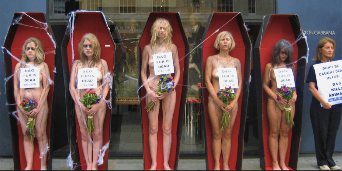 Đã có rất nhiều cuộc biểu tình gay gắt đã được tổ chức bên ngoài các cửa hàng của Dolce & Gabbana tại Anh và Mỹ.
