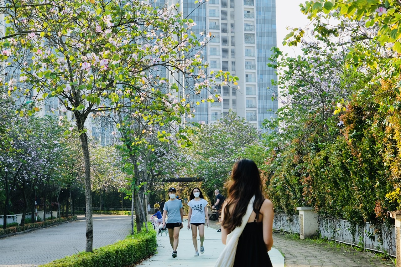 Mảnh đất vượng phong thuỷ Tây Hồ hay lý do giới thượng lưu luôn săn đón bất động sản khu ĐT Ciputra