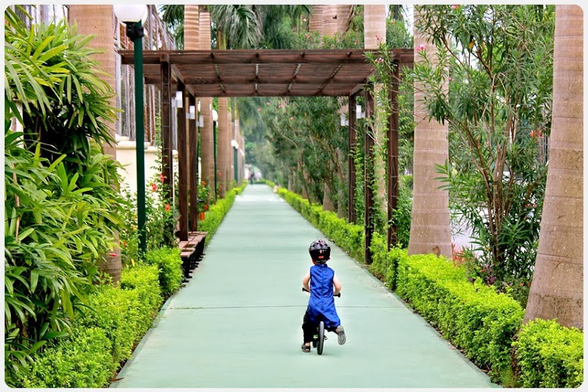 Mảnh đất vượng phong thuỷ Tây Hồ hay lý do giới thượng lưu luôn săn đón bất động sản khu ĐT Ciputra - Ảnh 3