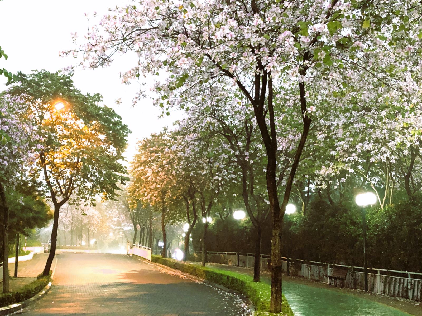 Mảnh đất vượng phong thuỷ Tây Hồ hay lý do giới thượng lưu luôn săn đón bất động sản khu ĐT Ciputra - Ảnh 4