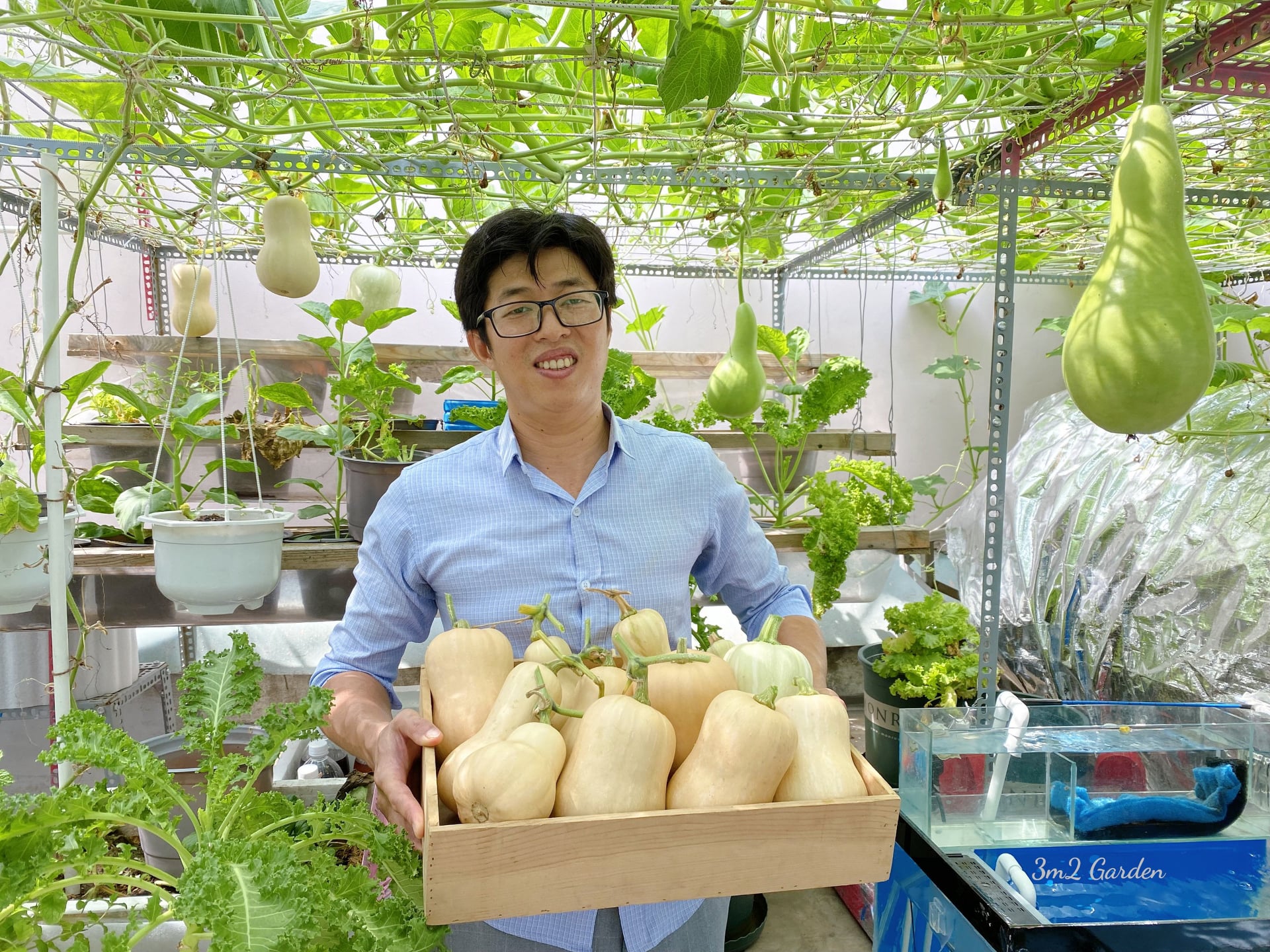 Ông bố 8X biến sân thượng thành mảnh vườn 30m² ngập tràn rau củ, tạo sân chơi lành mạnh cho con