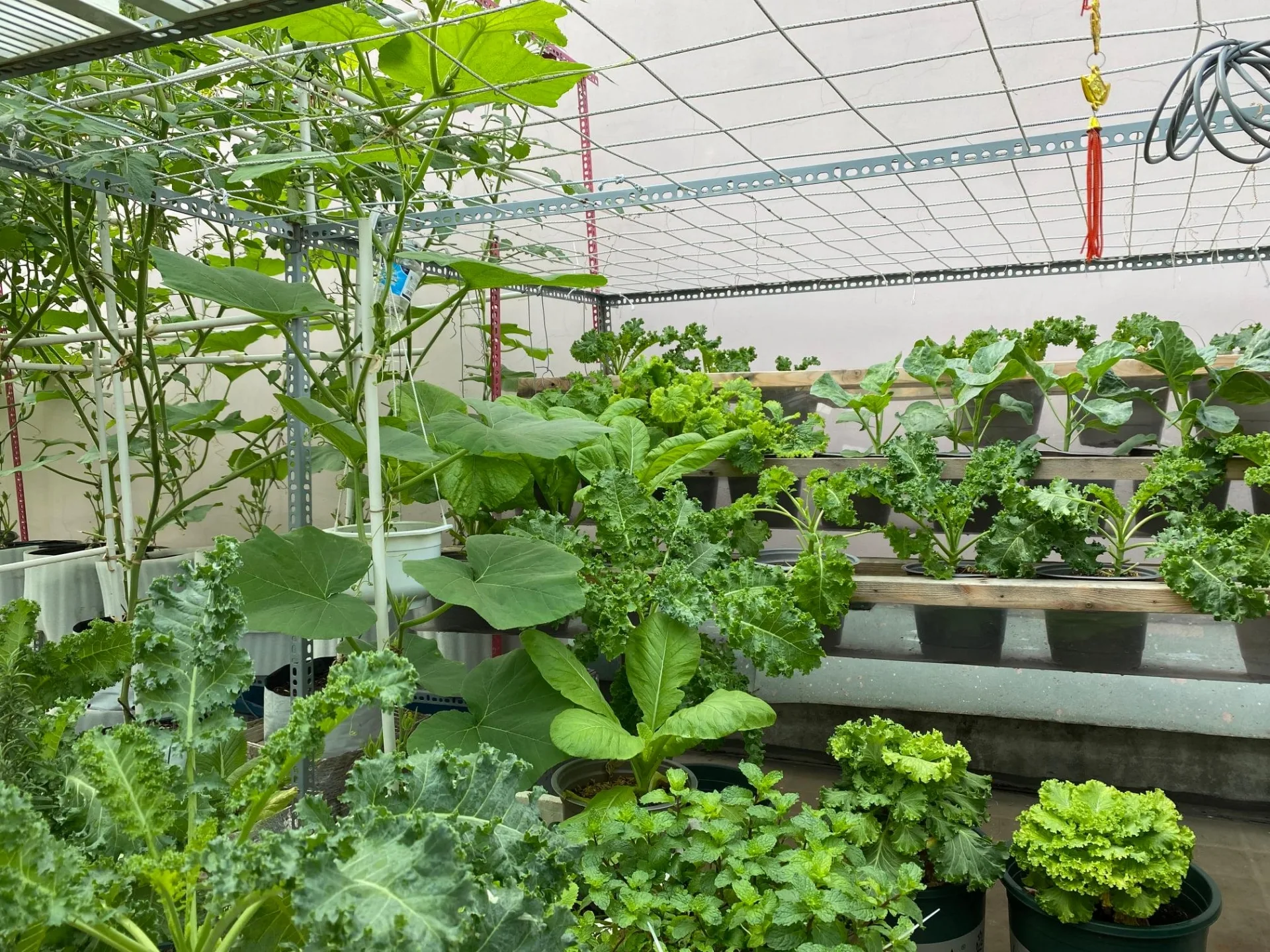 Ông bố 8x biến ban công 30m2 thành 