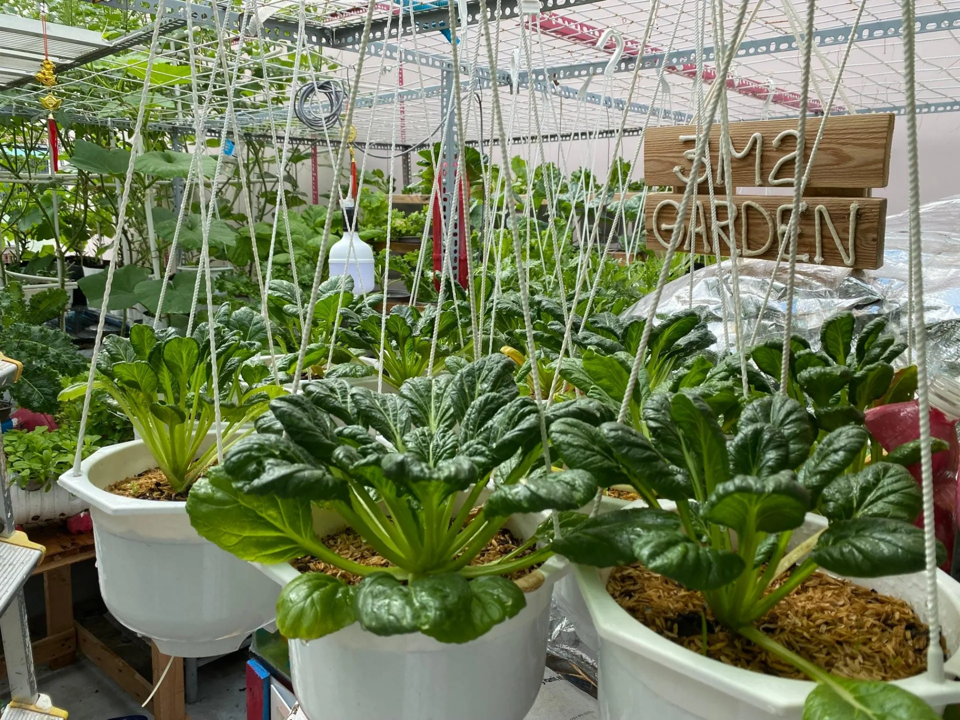 Ông bố 8x biến ban công 30m2 thành 