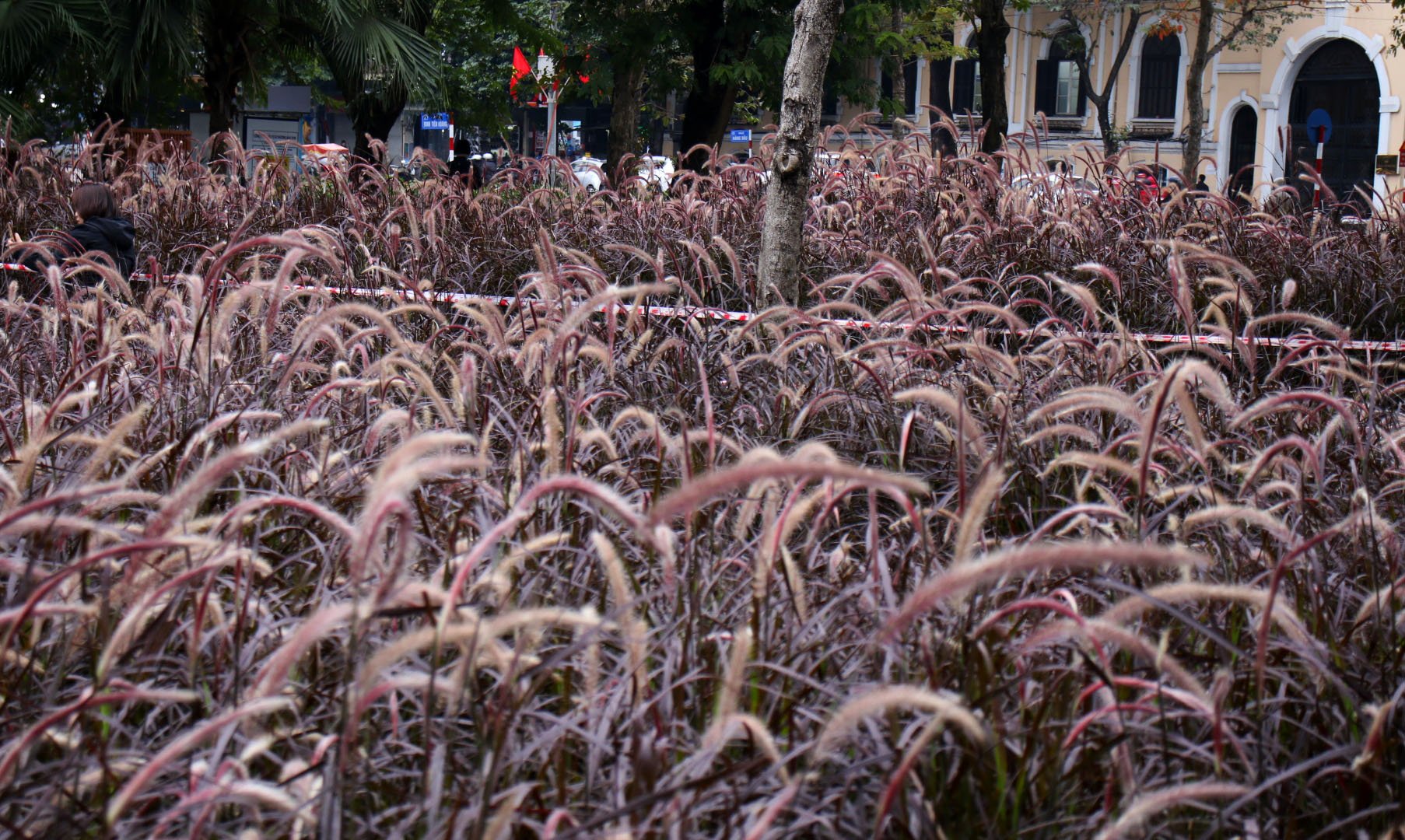 10 điều thú vị quanh Phố đi bộ - Ảnh 1