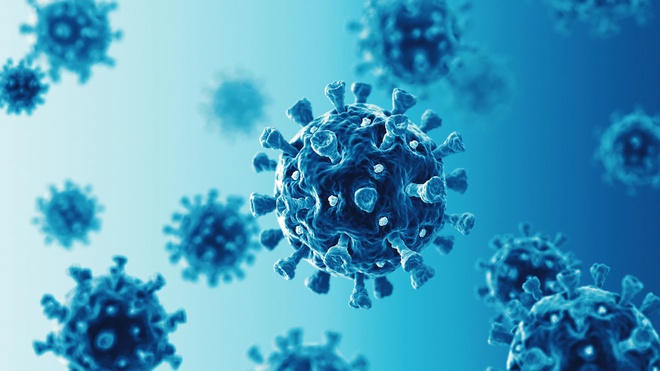 Virus corona tồn tại trong tinh hoàn của nạn nhân tử vong vì covid- 19 là phát hiện mới của các nhà khoa học Mỹ