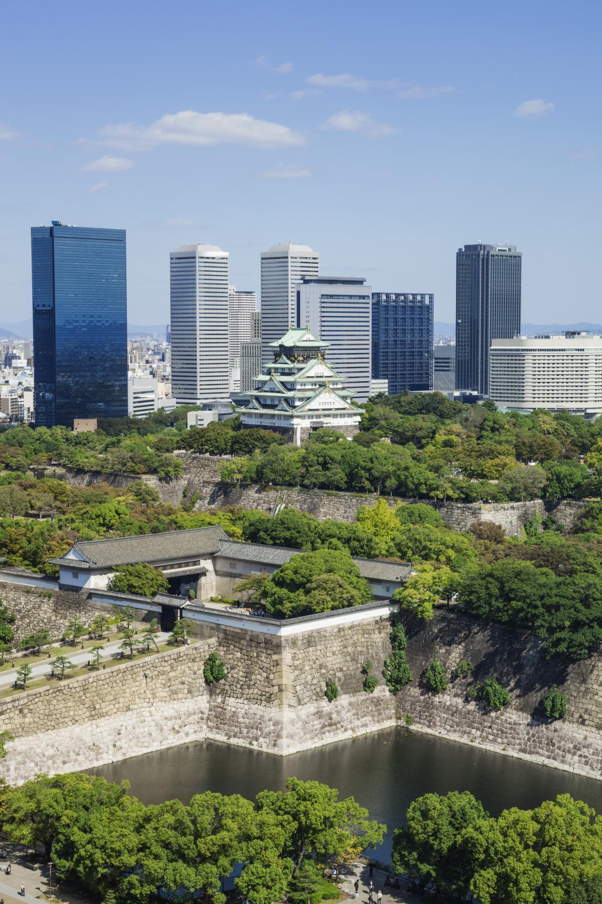 Kongō Gumi đã trùng tu lại lâu đài Osaka nổi tiếng nhất đát nước hoa anh đào.