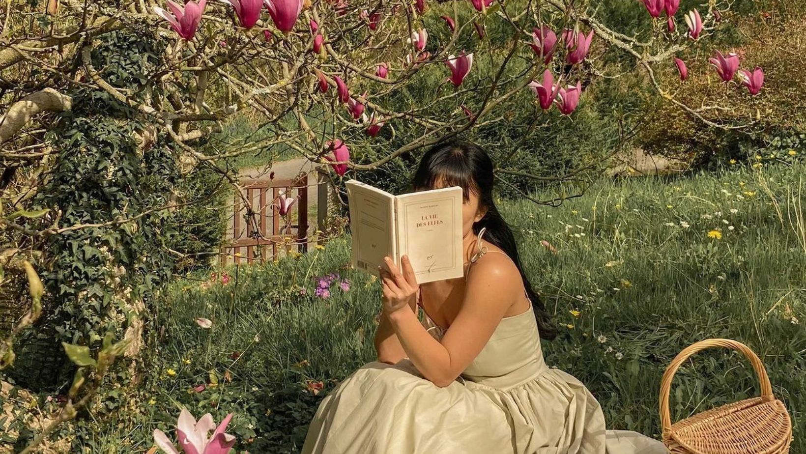 3 ĐIỀU khác biệt giữa người đọc sách thường xuyên và người lười không chịu đọc – Càng ngẫm càng đúng