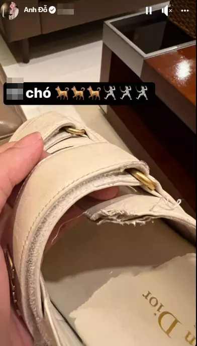 Đôi dép xăng đan 30 triệu của hot girl Trâm Anh chỉ là đồ chơi cho chó - Ảnh 2