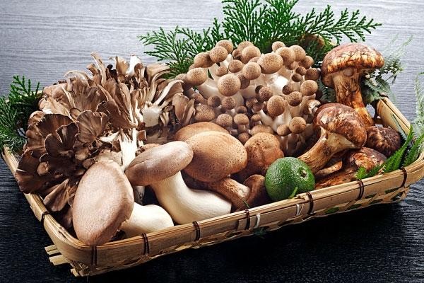 Những lỗi sơ chế nấm khiến món nấm trở nên mất ngon!