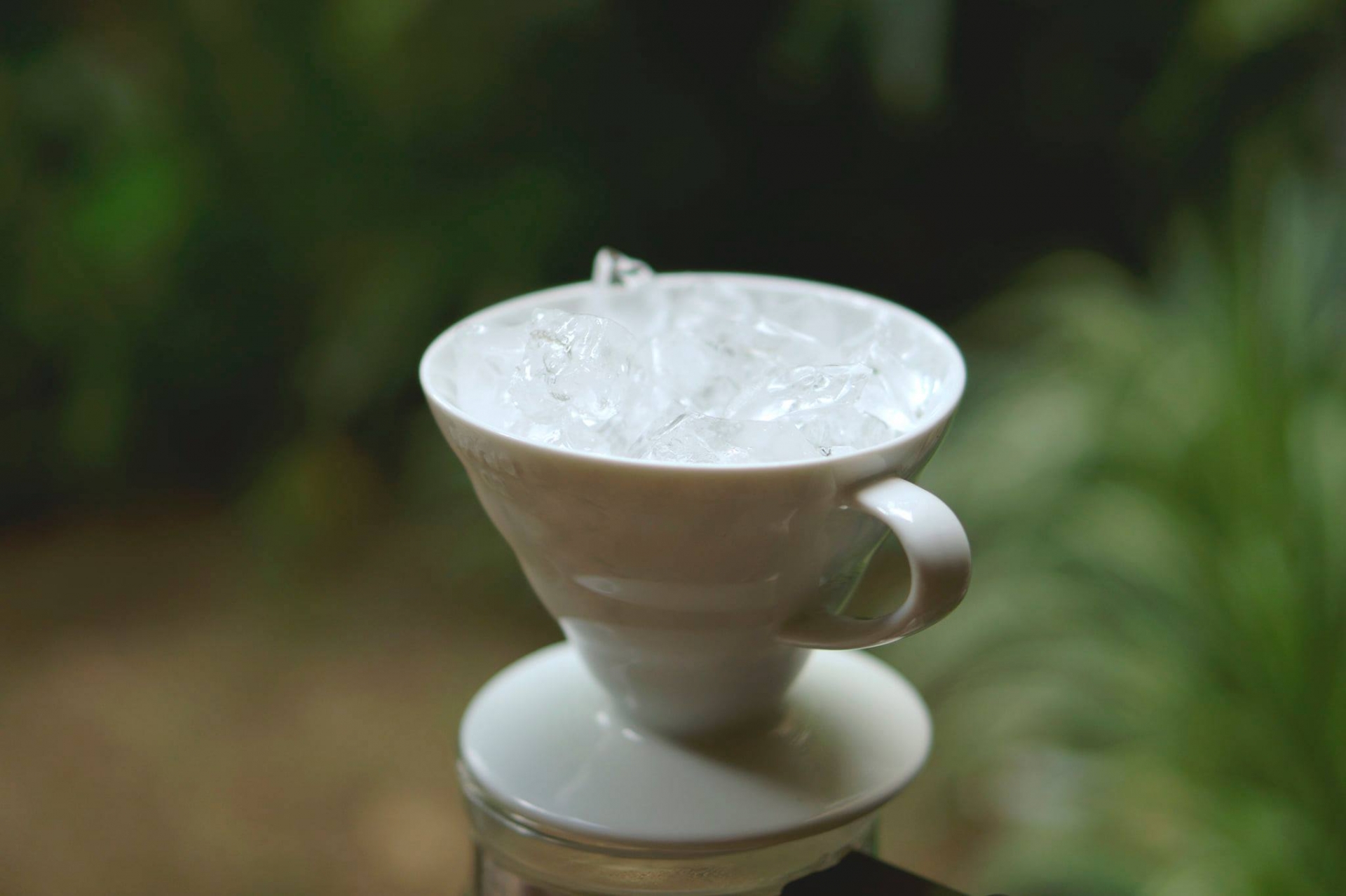 Cách làm trà ủ lạnh - trà coldbrew cực đơn giản mà ngon ngay tại nhà - Ảnh 7
