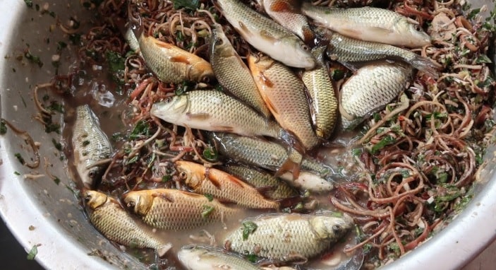 Gỏi cá nhảy, món ăn người khen, người không dám thử của Sơn La