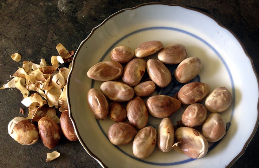 Cách ăn sầu riêng tận dụng cả hạt và vỏ cho tín đồ 'trái cây vua' - Ảnh 2