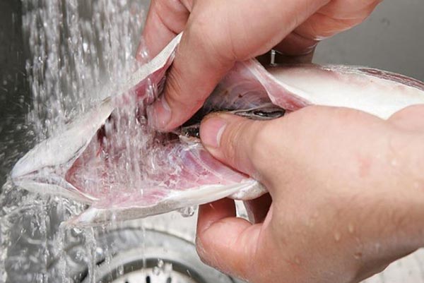 Mẹo khử hết vị đắng từ mật cá mà người nội trợ nào cũng nên biết