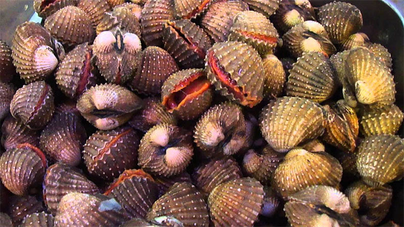 Muốn ăn sò huyết tươi ngon, hãy ghim ngay mẹo chọn sò huyết, cách bảo quản sò huyết này!