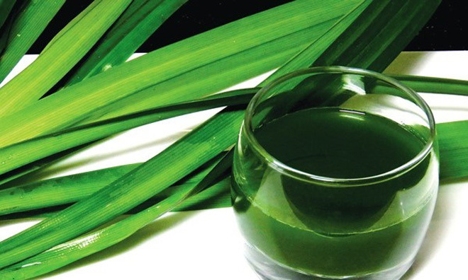 Mẹo chiết nước cốt lá dứa dễ làm, có màu xanh đẹp mắt lại bảo quản được lâu