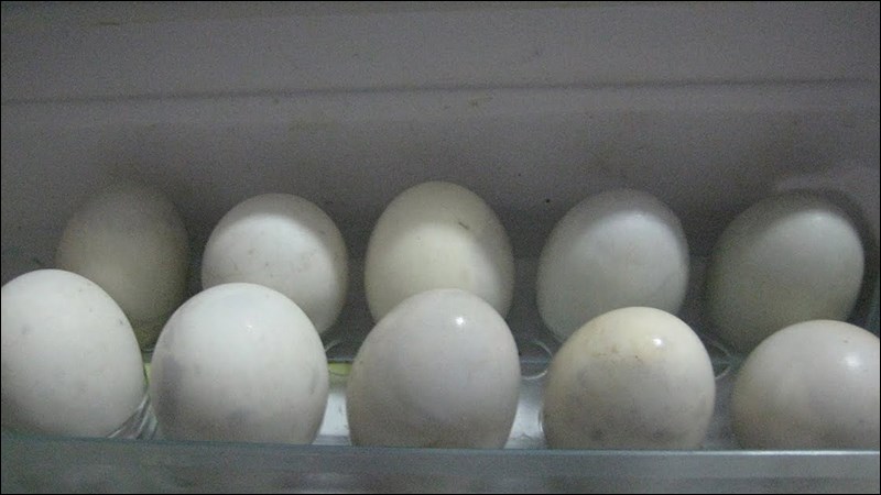 Mẹo bảo quản trứng vịt lộn sống/chín được lâu ngày mà không bị mất chất - Ảnh 4