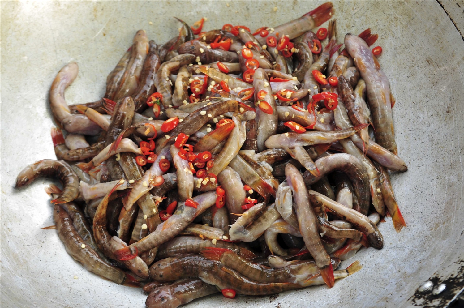 Cá bống vùi tro, đặc sản hấp dẫn, ăn một lần là nhớ đến từ Lai Châu - Ảnh 3