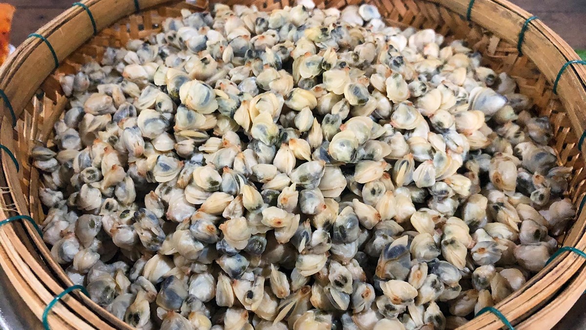 Đừng nhặt hến từng con nữa, đây là 2 cách đãi vỏ hến siêu nhanh siêu dễ