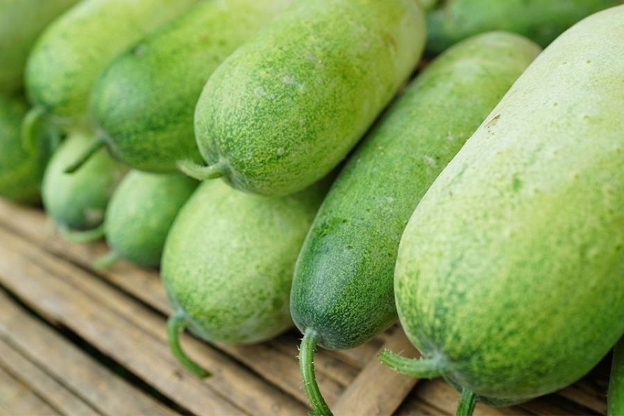 5 mẹo chọn bí đao ngon, ngọt và cách bảo quản lâu ngày không sợ hỏng - Ảnh 1