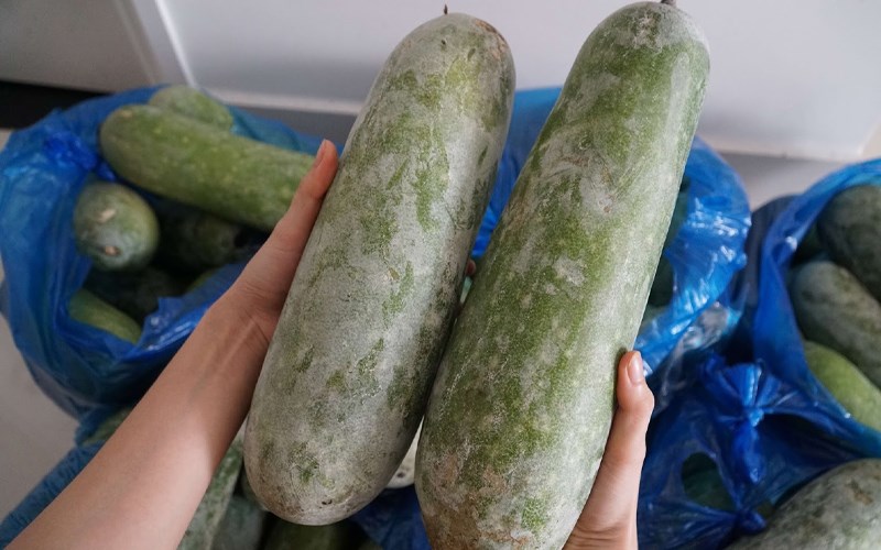 5 mẹo chọn bí đao ngon, ngọt và cách bảo quản lâu ngày không sợ hỏng - Ảnh 1