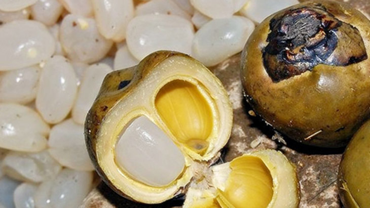 Bỏ túi cách chọn mua, sơ chế và bảo quản hạt đác cực đơn giản cho người nội trợ - Ảnh 1