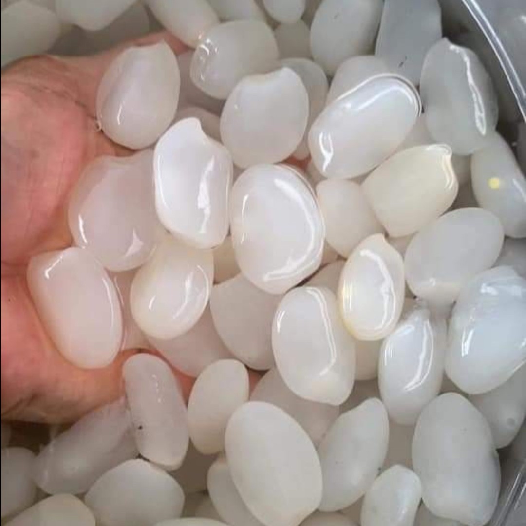 Bỏ túi cách chọn mua, sơ chế và bảo quản hạt đác cực đơn giản cho người nội trợ - Ảnh 1