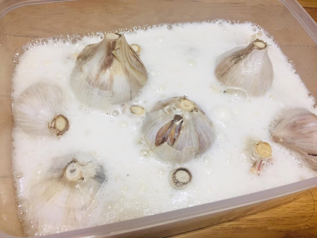 Cách làm tỏi đen bằng nồi cơm điện cực đơn giản lại an toàn tại nhà- Ảnh 1