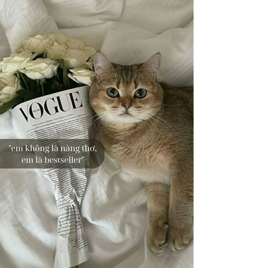  Cap đăng, STT thả thính hay hài hước cực chất theo Trend mới nhất - Ảnh 1