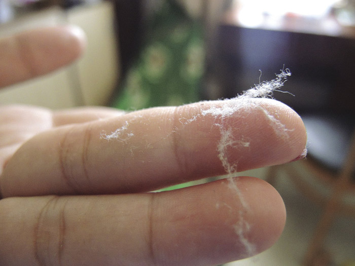 Sự thật về bụi bẩn trong nhà: 70% - 80% là da chết?