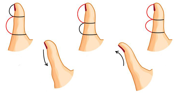 Hình dạng ngón tay cái tiết lộ tính cách