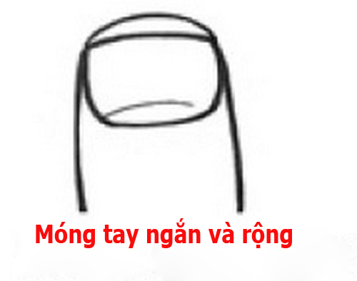 Móng tay rộng và ngắn