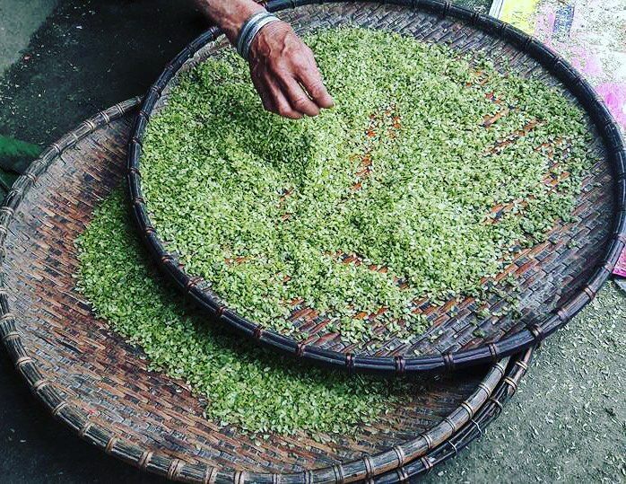 Cốm Tú Lệ , thức quà gây thương nhớ khi thu về của Tây Bắc