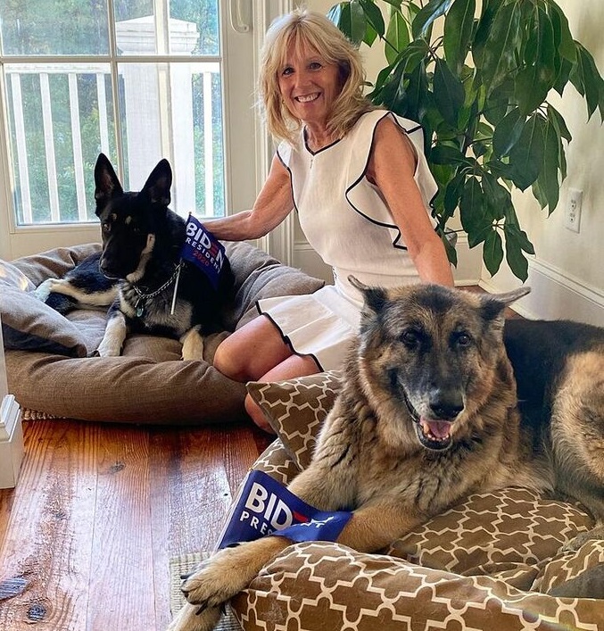 Chú chó được nhận nuôi từ trạm cứu hộ sẽ trở thành "đệ nhất khuyển" của Mỹ