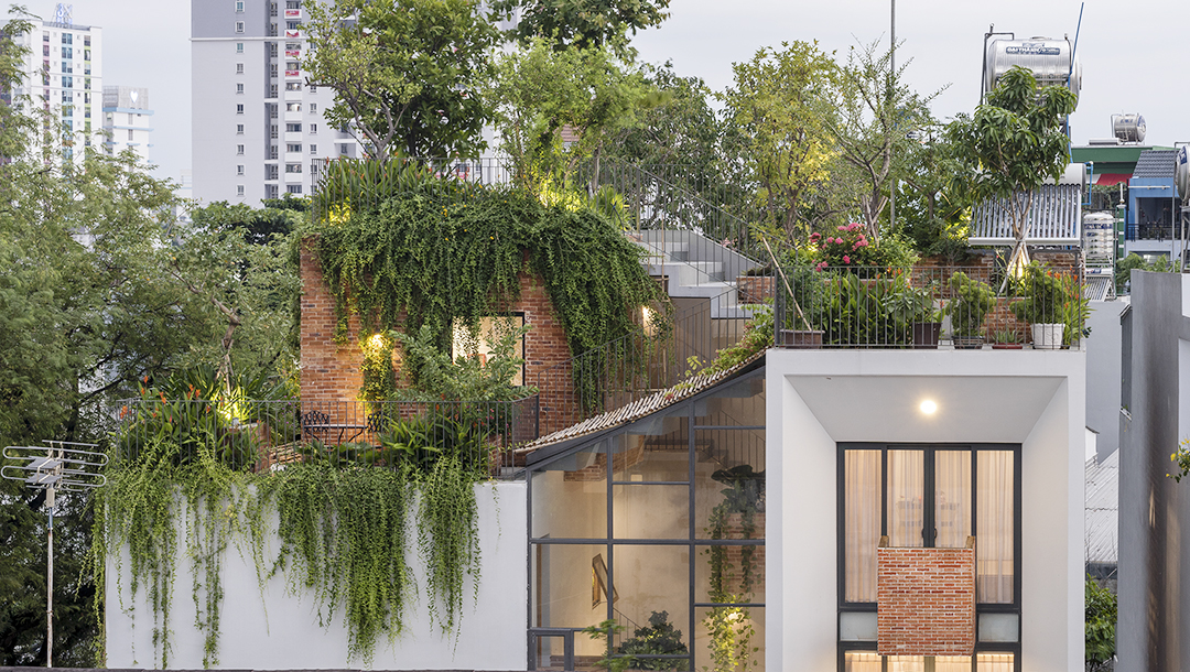 Park Roof House: Ngôi nhà sở hữu