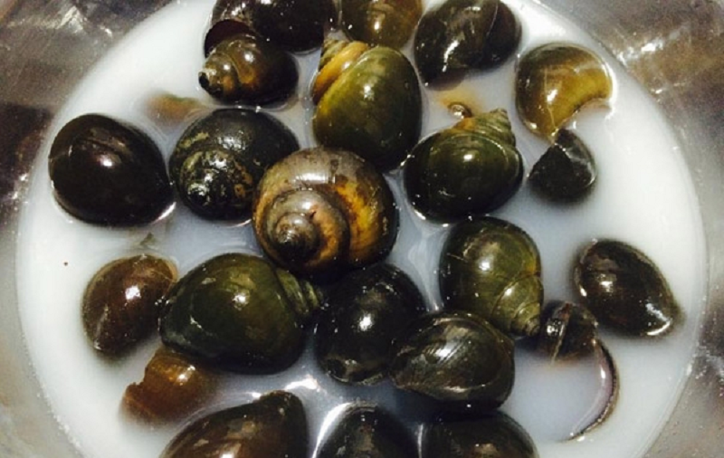 Mách nhỏ cách loại bỏ hết cặn bẩn và nhờn của ốc