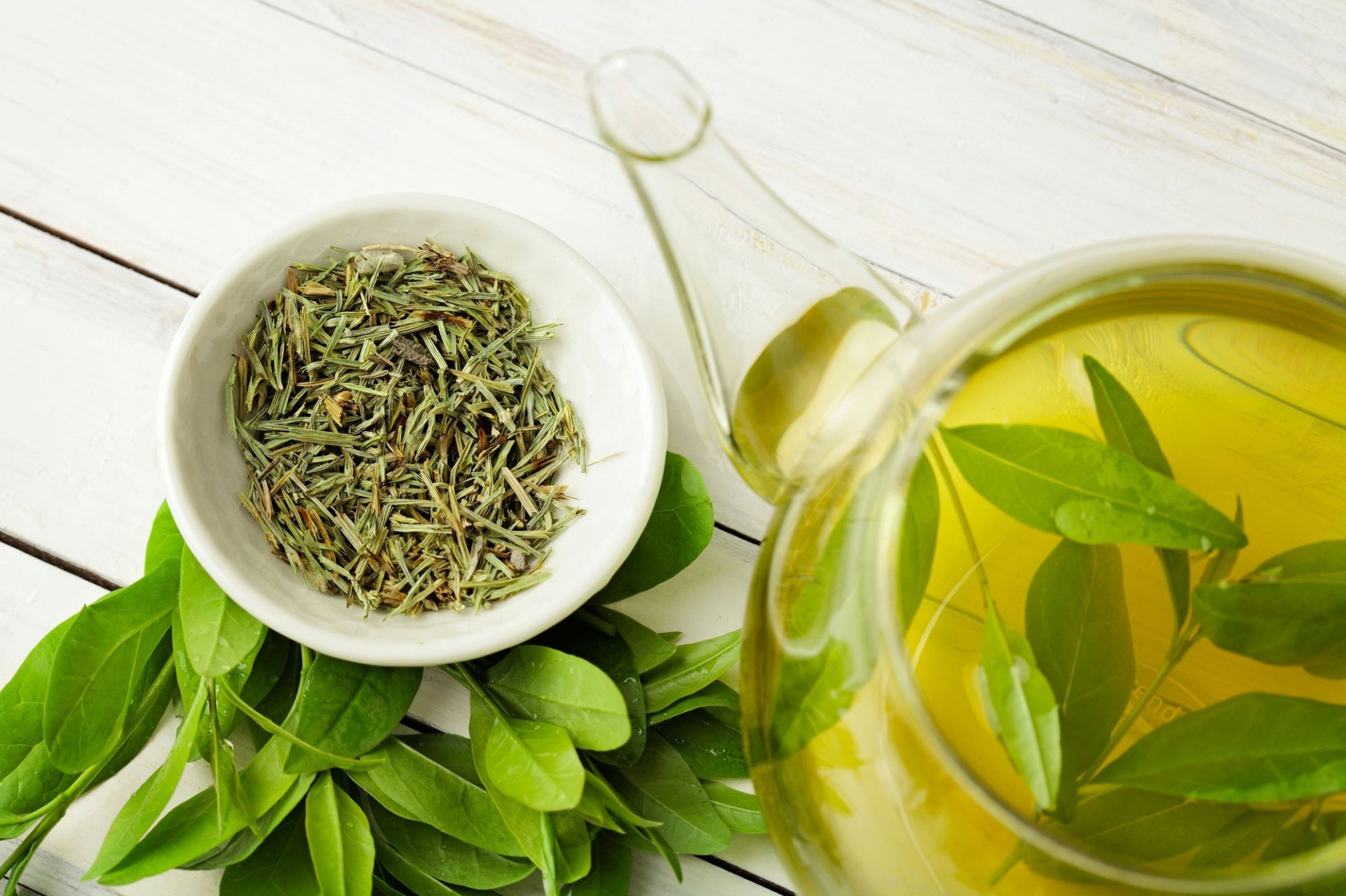 Lá trà xanh tươi có nhiều công dụng tốt cho sức khỏe.