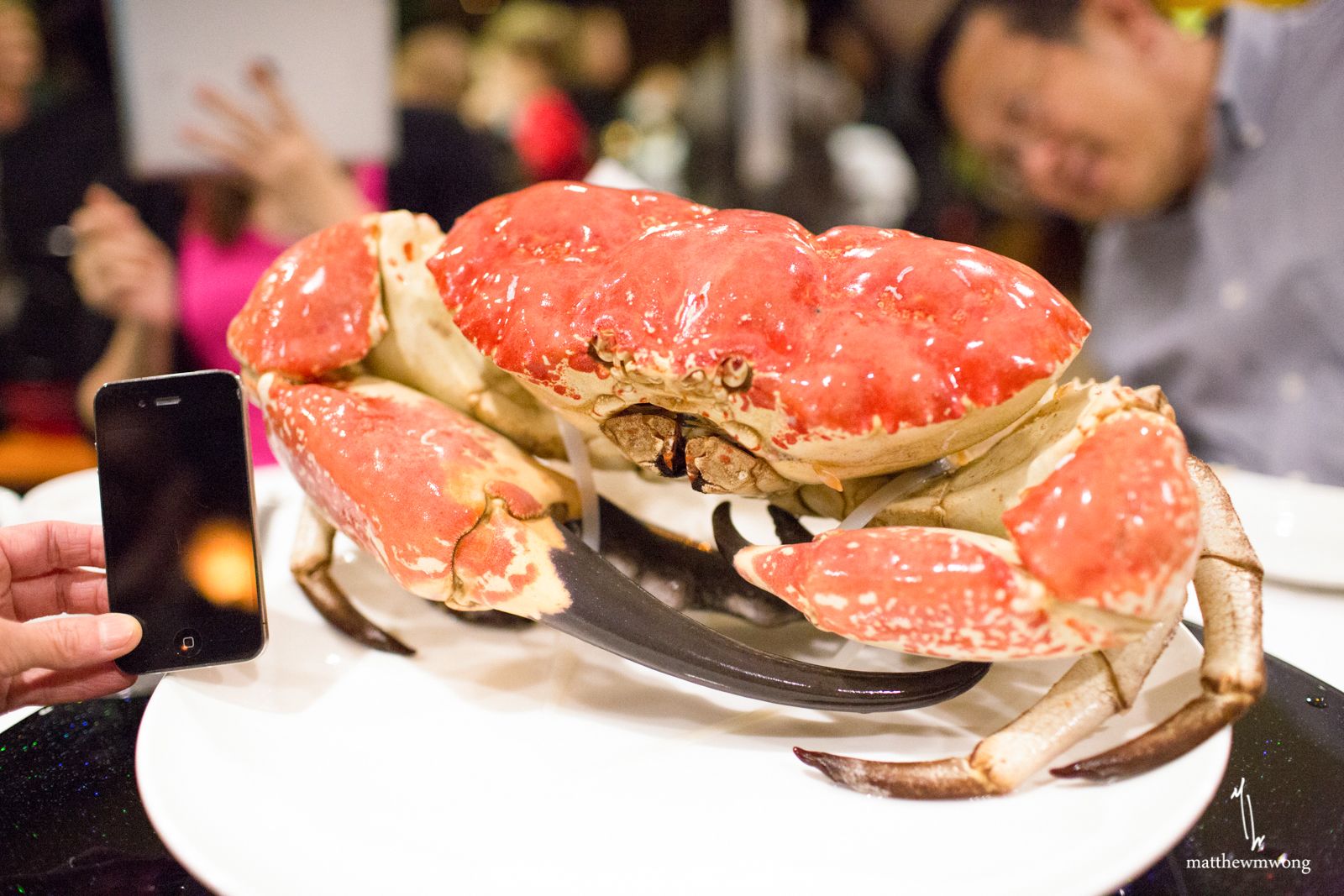 Cua Tasmania - loại cua giá ngang xe tay ga dành cho giới nhà giàu